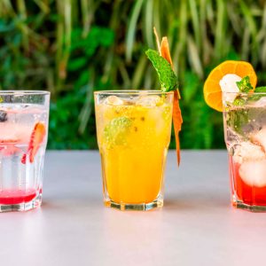 Soda Artesanal de Frutos Rojos